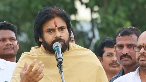 AP Deputy CM Pawan Kalyan comments on pithapuram MLA gari taluka vehicle number plates