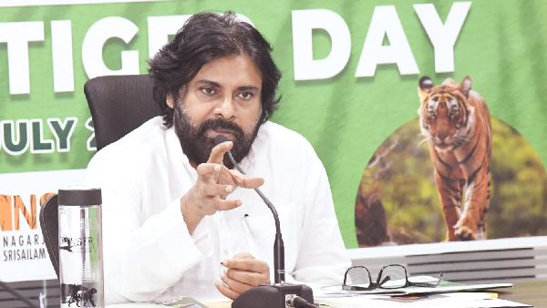 pawan kalyan full happy with janasena membership drive huge response in ap