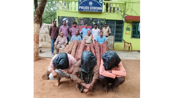 hunt for red sandalwood smugglers has started three smugglers arrested in poddutur forest range