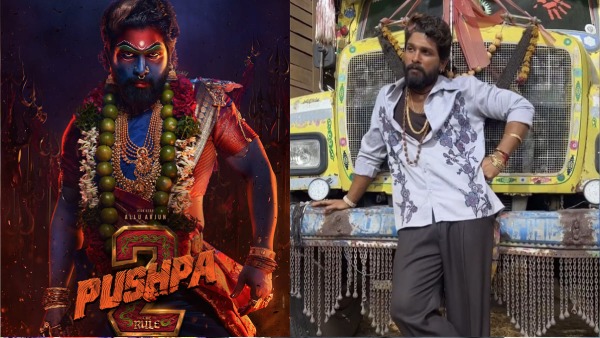 Which movie is going to be a hit in Pushpa2 and Double Smart