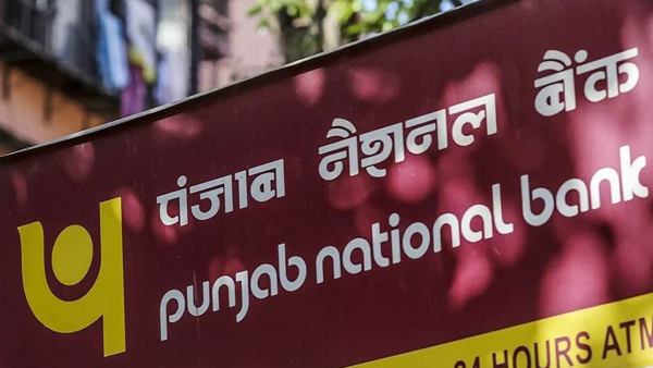 Jobs in Punjab National Bank with degree qualification