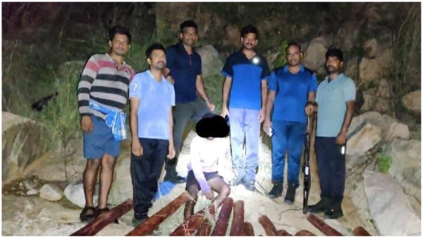 Hunting of red sandalwood smugglers in the forests of Seshachalam one smuggler caught