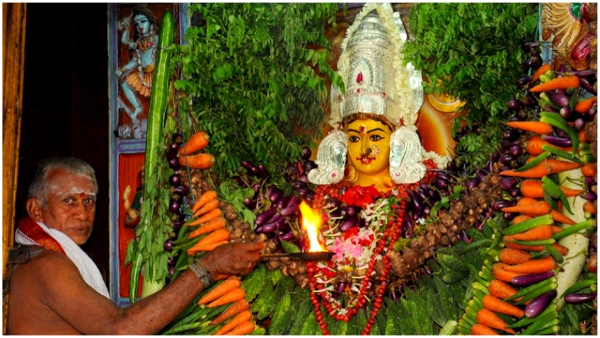 Sakambari Devi festival at Kanaka Durgamma Temple Bejwada