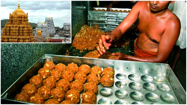 TTD decides to take legal action against those who spread false propaganda