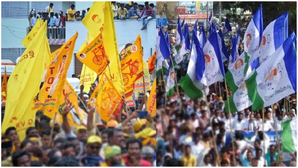 Do you know why there is competition between Chandrababu and YCP leader Peddireddy