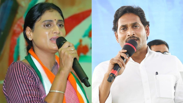 congress-ys jagan mind game after ysrcp delhi dharna ys sharmila alert with latest developments