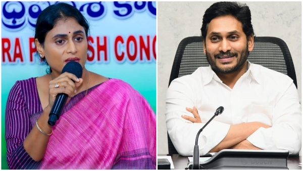 YS Jagan has threat with ys sharmila not with chandrababu
