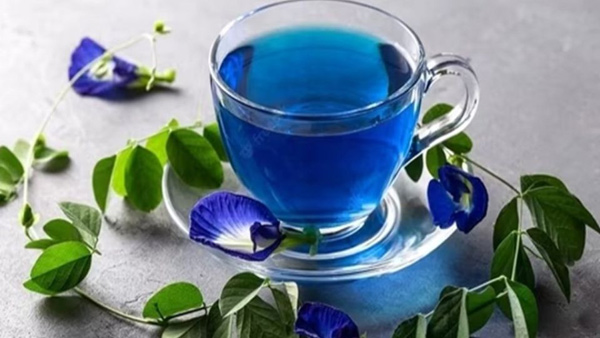 Blue tea is better than green tea shankpushpi tea does wonders for health