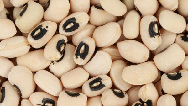 Eat bobbarlu in food see the miracles on your health mainly in weight
