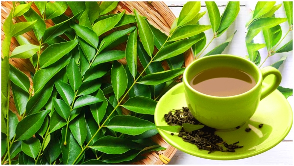 Curry leaves tea gives many health benefits including diabetes and weight reduction