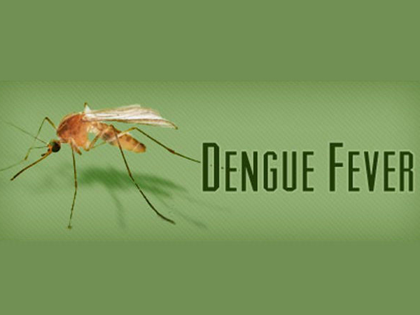 Dengue tension in Telangana these are the high risk districts alert