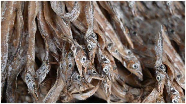 Eating dry fish Must Know These facts and benefits about dry fish eating