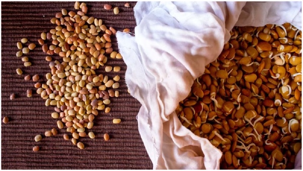 Eat horse gram in food you will get energy like horses