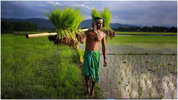Govt to frame new guide lines for implementation of Rythu Bharosa for eleigible farmers
