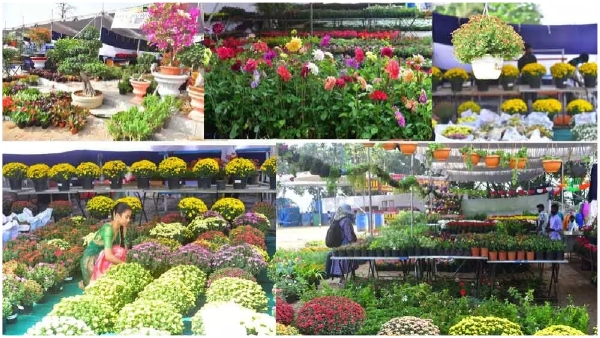 All India Horticulture Mela in Hyderabad from today
