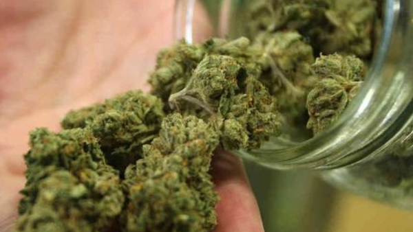 The police arrested a gang that was supplying ganja to Delhi from Vijayaganaram The police arrested a gang that was supplying ganja to Delhi from Vijayaganaram