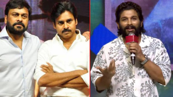 Allu Arjun did not comments on mega family