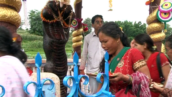 Nag Panchami puja on first sravan Friday Remarkable results and lakshmi blessings