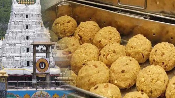 Eco-Friendly Initiative TTD Uses DRDO Bags for Laddu Packaging