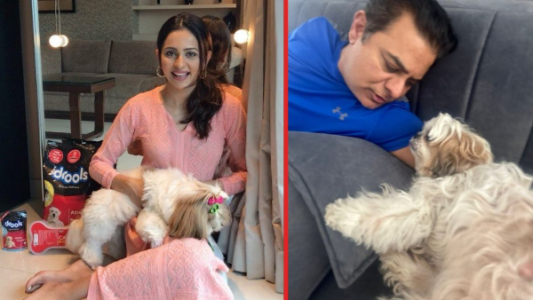 pics of KTR and Rakul holding a same breed dog goes viral on social media