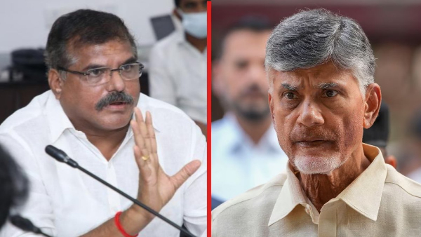 Chandrababu fixed the candidate on botsa in Visakha local bodies