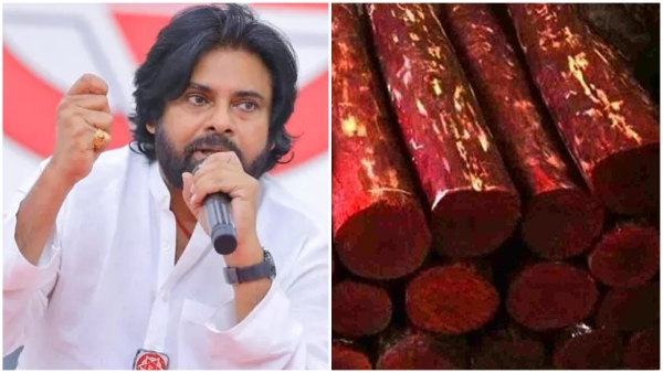 Task Force officials chased and caught red sandalwood smugglers