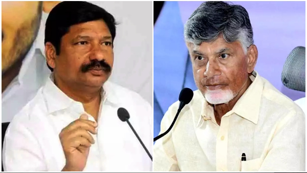Andhra Pradesh High Court directly questioned Jogi Ramesh s lawyer Sudhakar Reddy