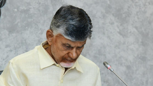 CM chandra Babu to apoint AP official representtive at Delhi soon