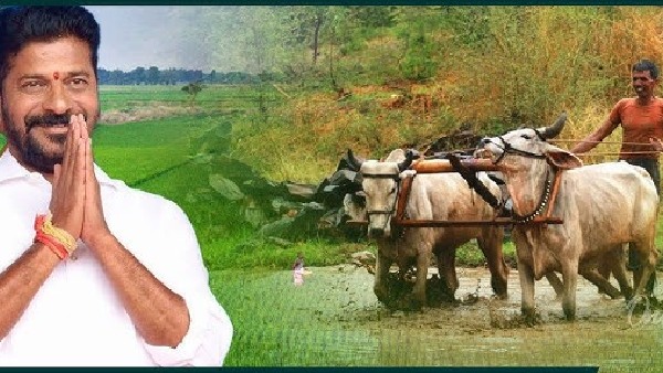 Govt begin survery over loan waiver implementation issues guide lines