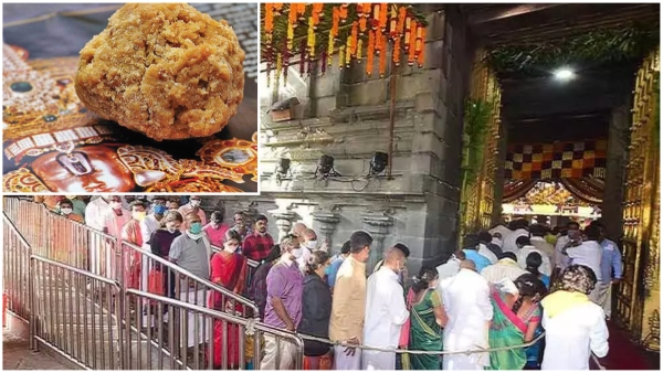 TTD clarifies over darshan for elderly and handicapped people