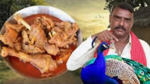 YouTuber arrested for cooking peacock curry and sharing video
