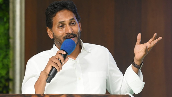 YS Jagan discussions with party Rajaysabha members key assurance