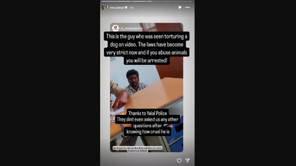 Renu Desai reacts to the dog harassment incident