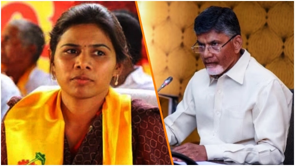 TDP MLA Bhuma Akhila Priya said that Telugu Ganga and KC Canal encroachments will be removed