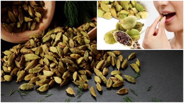 These are the amazing health benefits of eating two cardamoms every day These are the amazing health benefits of eating two cardamoms every day
