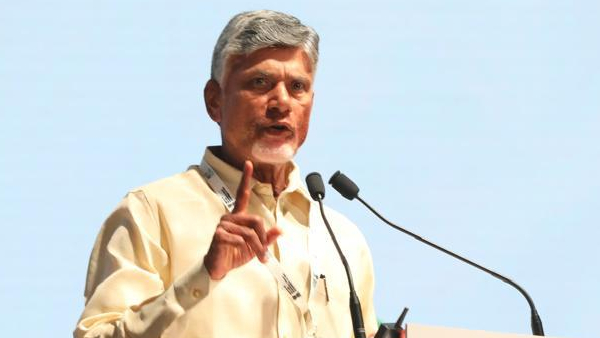 CM Chandrababu sensation Animal fat was used in Tirumala laddu during Jagan regime