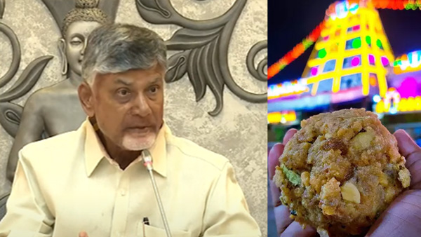 CM Nara Chandrababu Naidu set up SIT on Tirumala Laddu dispute