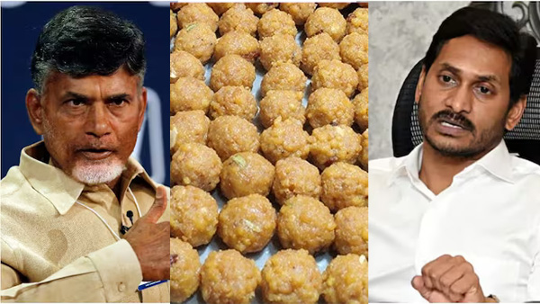 simultaneous polls behind Chandrababu s tirumala laddu plan what is happening in ap
