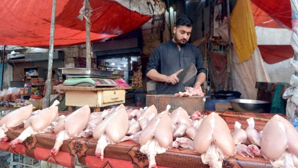 The price of chicken which is loved by many has gone up drastically
