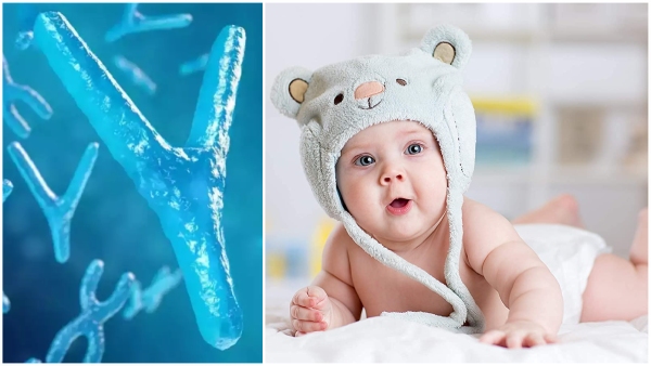 Declining male offspring Disappearing y chromosome in men Declining male offspring Disappearing y chromosome in men