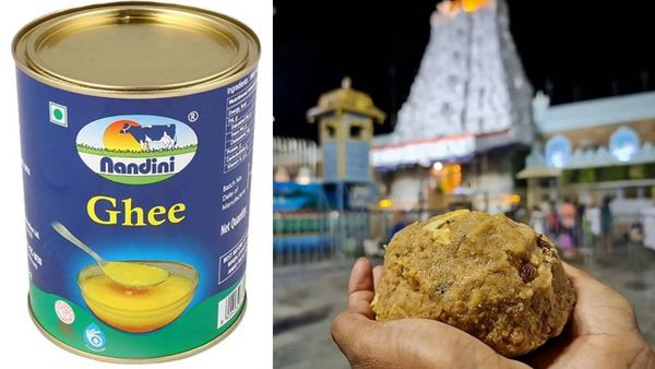 Sanctity of Srivari Laddu Prasadam is Restored Again TTD ordered Nandini Ghee from KMF