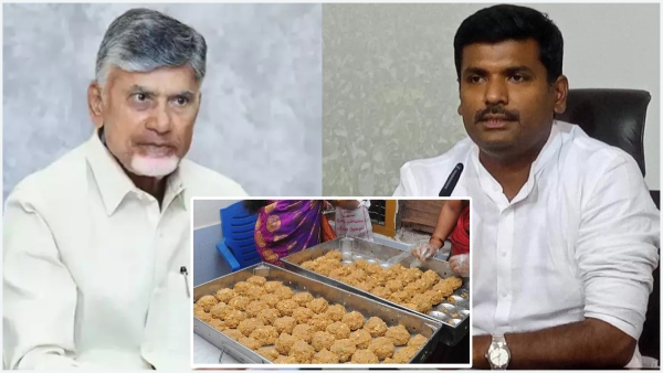 YCP demands for CBI inquiry on Tirumala Laddu adulteration Chandrababu unexpected thing