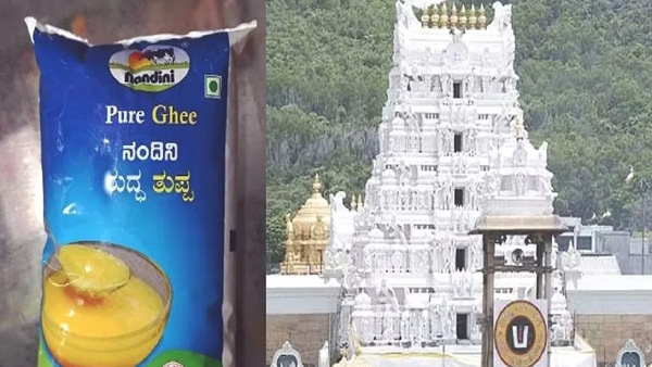 KMF has given clarity regarding the supply of Nandini ghee for making Tirumala laddus