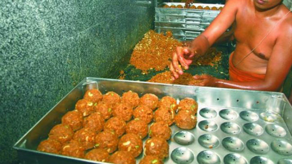 The MLAs of the joint Chittoor district alleged that adulterated ghee was used for Tirumala laddoos The MLAs of the joint Chittoor district alleged that adulterated ghee was used for Tirumala laddoos
