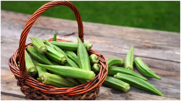 Don t underestimate okra if you know ladyfingers benefits you won t miss it