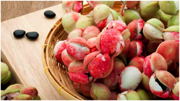 If you know the Health Benefits of Manila Tamarind you will not leave it at all