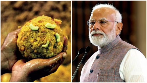 The Union Ministry of Health issued show cause notices to the company that supplied ghee to Tirumala The Union Ministry of Health issued show cause notices to the company that supplied ghee to Tirumala