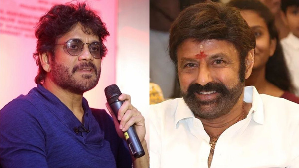 Reasons why Nagarjuna did not attend Balayya s 50th anniversary celebration