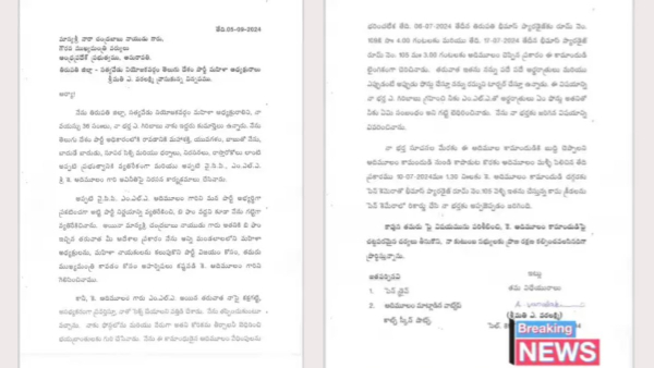 tdp mla koneti adimulam private video leaked