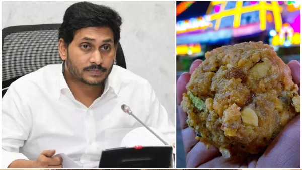 Tirumala Laddu row YS Jagan made key statement to the YSRCP cadre